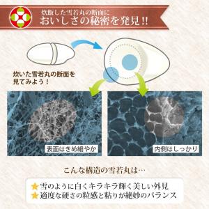無洗米 10kg (5kg×2袋) 雪若丸 山...の詳細画像2