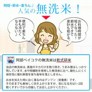 無洗米 10kg (5kg×2袋) 雪若丸 山...の詳細画像5