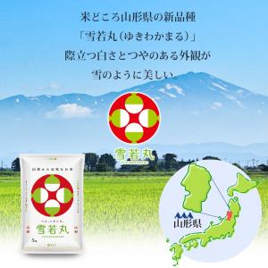 令和7年 雪若丸 山形 10kg (5kgX2...の詳細画像1