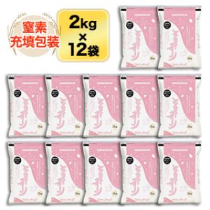 森のくまさん 熊本県産 白米 10kg（2kg×5袋）【送料無料】【米袋は窒素