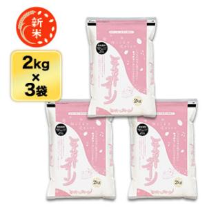 高知県四万十産 にこまる〈10年連続特A評価〉白米 10kg(2kg×5袋