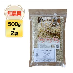 もち麦キラリ 1kg(500g×2袋)(農薬・化...の商品画像
