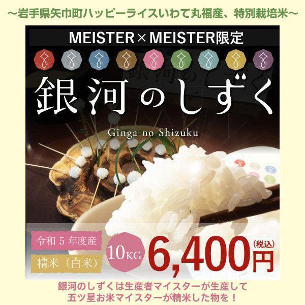 新米 お米 令和５年産 続々登場する新銘柄ブームの決定版  岩手県産 銀河のしずく 10KG