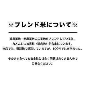 お米 300g 中野商店オリジナルブレンド 赤...の詳細画像2