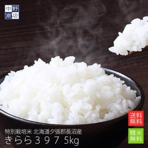 令和５年度産 お米 5kg きらら397 北海道産 送料無料 特別栽培米 玄米 白米 分づき米 米 お米 北海道米