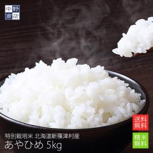 令和7年度産 お米 1kg ななつぼし 北海道産 特別栽培米 雨竜郡妹背牛