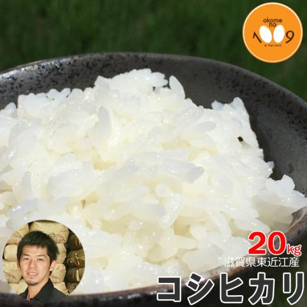 新米 20kg 玄米 滋賀県東近江産 コシヒカリ 西村農産 令和7年産 環境こだわり農産物(減農薬)