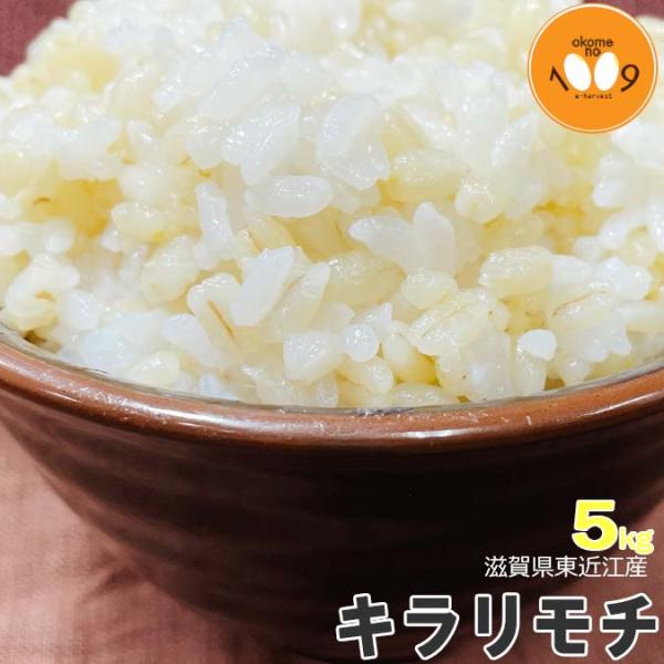 アグリ宮荘　キラリモチ　もち麦　5kg