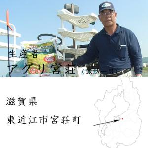 爆買 もち麦 国産 キラリモチ 5kg アグリ宮荘の詳細画像2