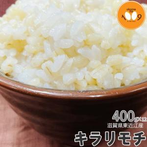 もち麦 国産 キラリモチ 4.8kg(400g×...の商品画像