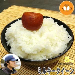 キヌヒカリ 米 10kg きぬむすめ 島根県雲南産 石原公夫 令和7年産 : お