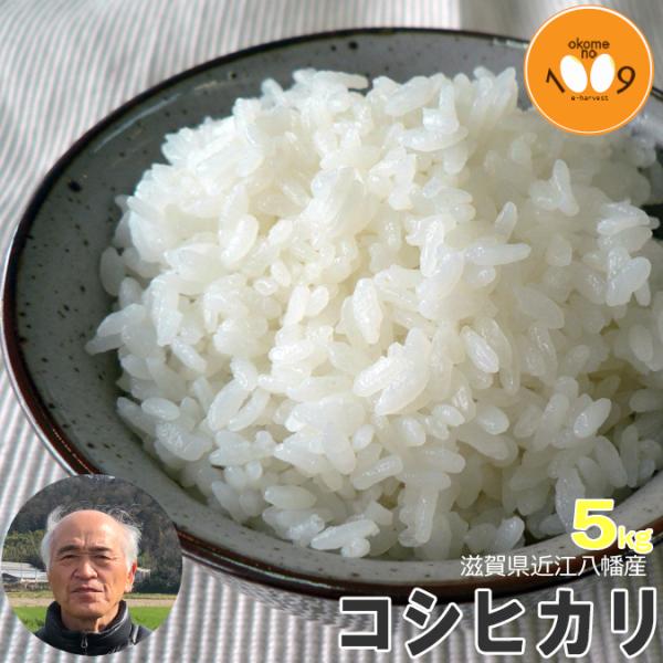 新米 5kg 白米 滋賀県近江八幡産 コシヒカリ 内野営農組合 令和7年産 環境こだわり農産物