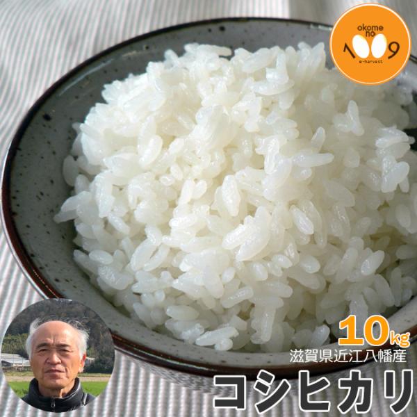 新米 10kg 滋賀県近江八幡産 コシヒカリ 内野営農組合 令和7年産 環境こだわり農産物