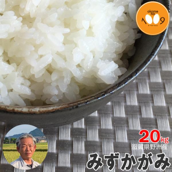 新米 玄米 20kg 滋賀県野洲産 みずかがみ 白井利幸 令和7年産 環境こだわり農産物