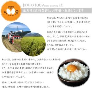 爆買 米 30kg 玄米 にじのきらめき 滋賀...の詳細画像5