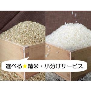 爆買 米 20kg 玄米 にじのきらめき 滋賀...の詳細画像1