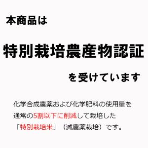 米 30kg 玄米 ミルキークイーン 岩手県北...の詳細画像4