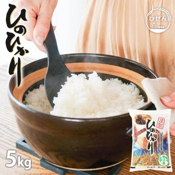 米 お米 5kg 送料無料 ヒノヒカリ 佐賀県産　令和5年度