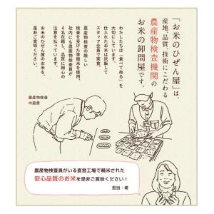 お米 5kg 送料無料 さがびより 佐賀県産 ...の詳細画像2