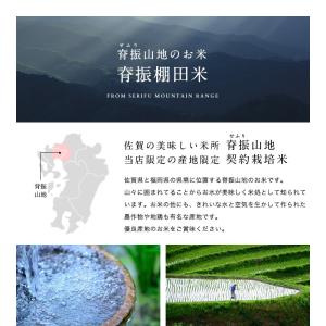 令和7年産 佐賀県【脊振棚田米】白米10kg(...の詳細画像1