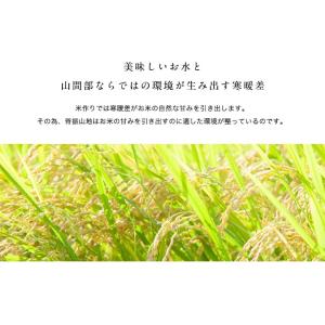 令和7年産 佐賀県【脊振棚田米】白米10kg(...の詳細画像2