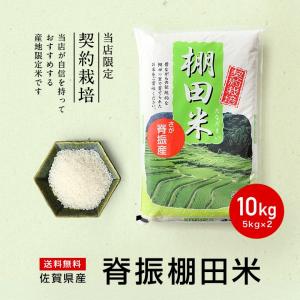 令和7年産 佐賀県【脊振棚田米】白米10kg(...の詳細画像3