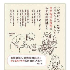 令和7年産 佐賀県【脊振棚田米】白米10kg(...の詳細画像4