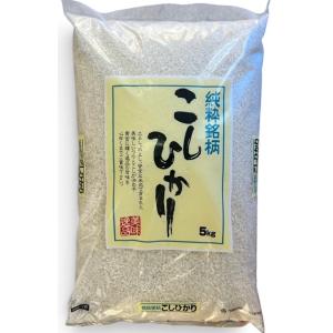 【セール】5kg 送料無料　令和7年産　埼玉こしひかり