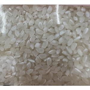 【セール】5kg 送料無料 令和7年産 埼玉こ...の詳細画像1