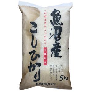 令和7年産 5kg みなみ魚沼こしひかり