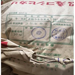 令和7年産 5kg みなみ魚沼こしひかりの詳細画像1