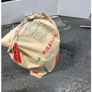 令和7年産 5kg みなみ魚沼こしひかりの詳細画像3
