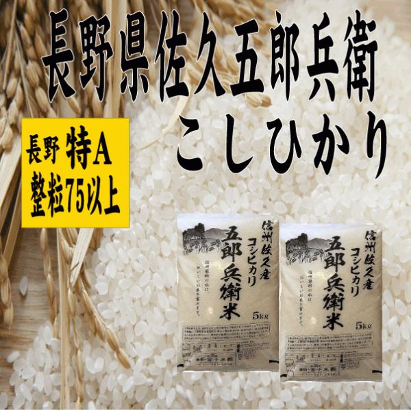 米 送料無料 白米10kg こしひかり 幻のお米 五郎兵衛米