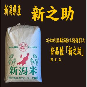令和7年産 玄米30kg 送料無料 埼玉直送米 : お米の金子ヤフー店 - 通販