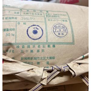 令和7年産 5kg 新潟こしひかりの詳細画像1