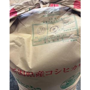 令和7年産 5kg 新潟こしひかりの詳細画像3