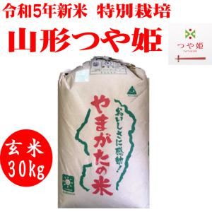 令5年産　玄米30kg　送料無料　特別栽培山形つや姫｜okomenokanekofujima