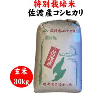 令和7年産 特別栽培米佐渡産コシヒカリ