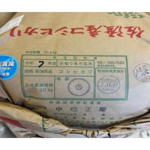 令和7年産 特別栽培米佐渡産コシヒカリの詳細画像1