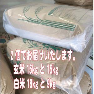 令和7年産 特別栽培米佐渡産コシヒカリの詳細画像3