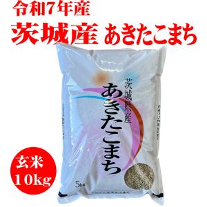 コシヒカリ 令和7年 特別栽培米みなみ魚沼こしひかり : お米の金子