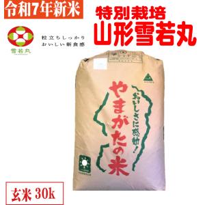 令和7年産 玄米30kg 送料無料 埼玉直送米 : お米の金子ヤフー店 - 通販