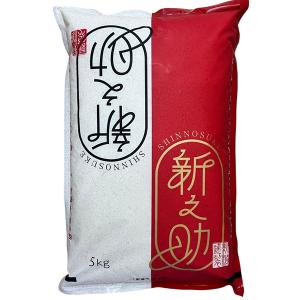 令和7年産　5kg　送料無料　新潟新之助