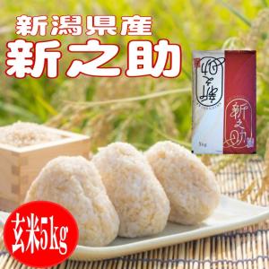 令和7年産 5kg 送料無料 新潟新之助の詳細画像1