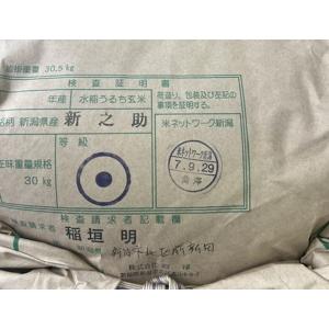 令和7年産 5kg 送料無料 新潟新之助の詳細画像2