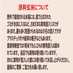 令和8年産新米 玄米5kg 送料無料 埼玉直送の米の詳細画像3