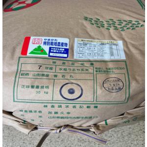 令和7年産 5kg 特別栽培米 山形県産雪若丸の詳細画像1