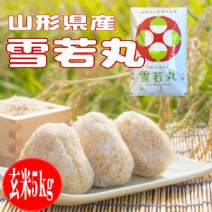 令和7年産 5kg 特別栽培米 山形県産雪若丸の詳細画像3