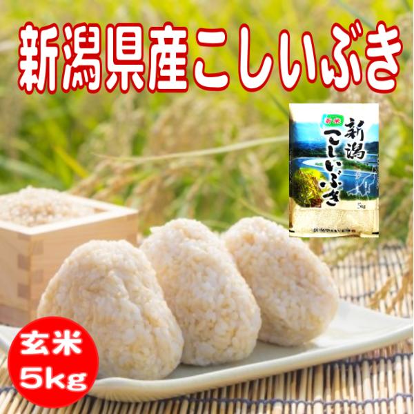 減農薬栽培　令和5年産　玄米5kg　新潟県産こしいぶき