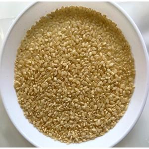 令和8年産新米 玄米2kg 送料無料 埼玉直送の米の詳細画像1